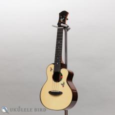 aNueNue aNN-UC200HB