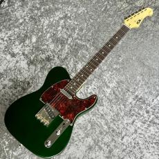 FUJIGEN NTE100RAL-CAG ~Candy Apple Green~ #F250149 [3.47kg]_2