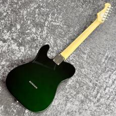 FUJIGEN NTE100RAL-CAG ~Candy Apple Green~ #F250149 [3.47kg]_10