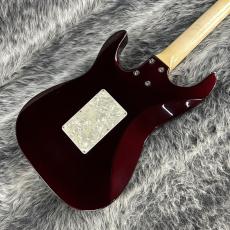 Combat Custom Model ST Type_6