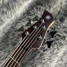 YAMAHA TRBX505 TBR_5