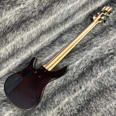 YAMAHA TRBX505 TBR_7