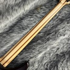 YAMAHA TRBX505 TBR_8