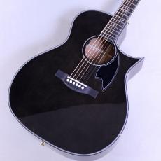 アコースティックギター/エレアコ、その他ウッド、ナチュラル/木目系