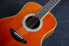 YAMAHA LA-57X　ハカランダ仕様　スペシャルオーダー品　テリー中本デザイン　_3