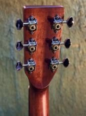 Stafford 【初心者おすすめ】SF-4DM NT【オールマホガニー】_6