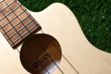 QUIAM Ezo's Ukulele Throughneck Concert_10