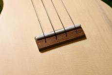 QUIAM Ezo's Ukulele Throughneck Concert_12