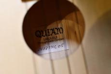 QUIAM Ezo's Ukulele Throughneck Concert_16