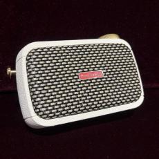 Positive Grid Spark Go