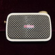 Positive Grid Spark Go_2