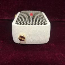 Positive Grid Spark Go_5