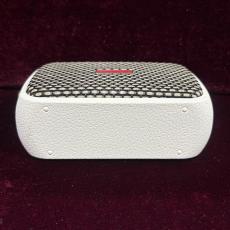 Positive Grid Spark Go_6