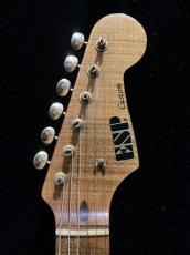 ESP Custom Order ST Type_3