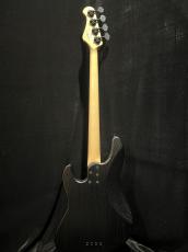 FUJIGEN JMJ2B-ASH-M_5