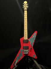 Edwards E-RS/M_2