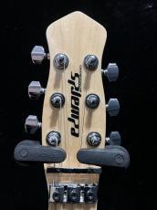 Edwards E-RS/M_3