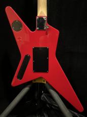 Edwards E-RS/M_4