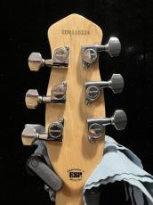 Edwards E-RS/M_6