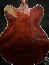 Gretsch G2622 Streamliner_4