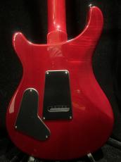 Paul Reed Smith [PRS] SE Custom 24_4