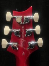 Paul Reed Smith [PRS] SE Custom 24_6
