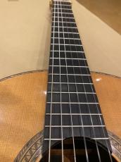 Seagull プロトタイプ ジャーマンスプルース×インディアンローズ_5