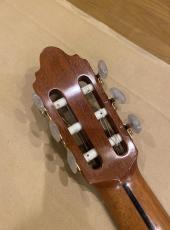 Seagull プロトタイプ ジャーマンスプルース×インディアンローズ_6