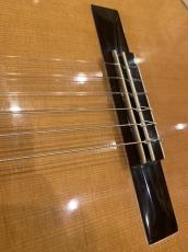 Seagull プロトタイプ ジャーマンスプルース×インディアンローズ_8