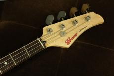 Greco WS-ADV-B/Sunburst_5