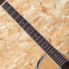 Takamine PTU141C N_6
