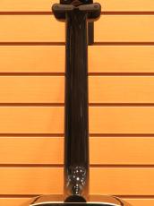 Gibson Everly Brothers J-180_7