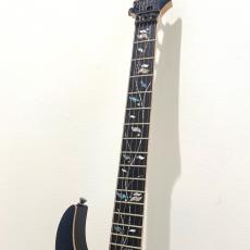 Ibanez RG8570 BRE_2