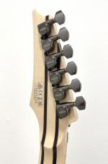 Ibanez RG8570 RBS_7