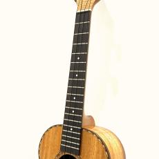 Kamaka HF-3D with Fishman Matrix Infinity Uke 【ジェイクシマブクロ直筆サイン個体】_3