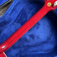 Gibson Historic Collection 60 Dove_8