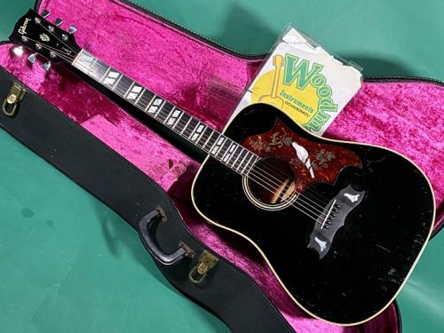 Gibson DOVE BLK