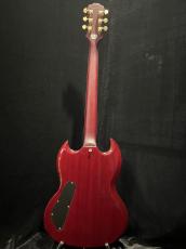 Epiphone SG Custom Prophecy_5