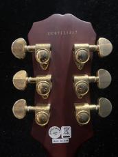 Epiphone SG Custom Prophecy_6