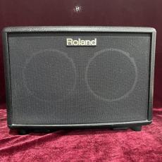 Roland AC-33_2