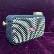 Positive Grid Spark Go