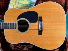 Martin D-35_2