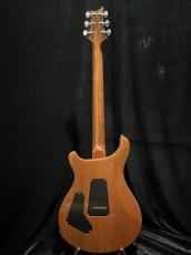 Paul Reed Smith [PRS] CUSTOM 24_5