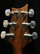 Paul Reed Smith [PRS] CUSTOM 24_6