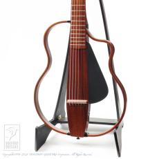 NATASHA NBSG Steel Smart Guitar (Mahogany)