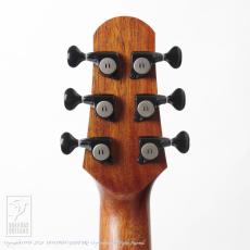 NATASHA NBSG Steel Smart Guitar (Mahogany)_5