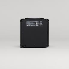 Marshall MG10_2