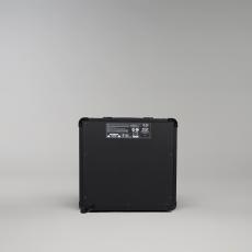 Marshall MG15FX_2