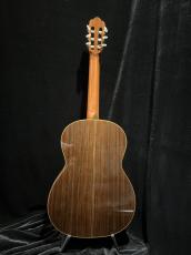 ASTURIAS Standard_5