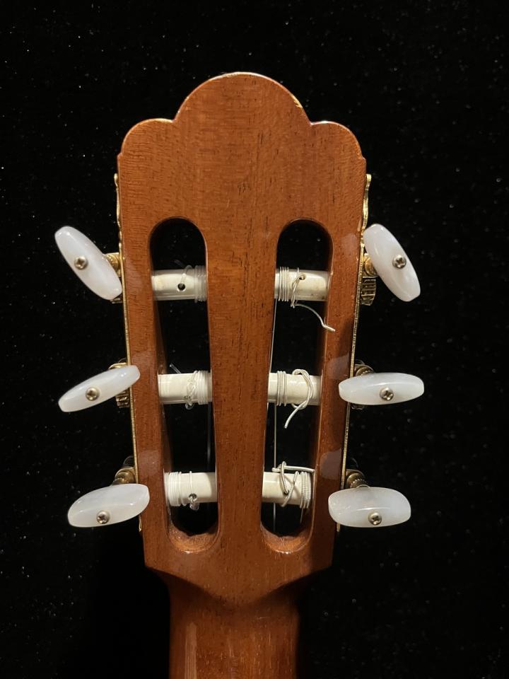 ASTURIAS Standard 中古 1535948 ASTURIAS(アストリアス)【楽器検索｜J